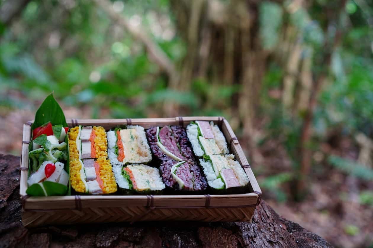 星野リゾート 西表島ホテルで、ストレスを完全解放させる2泊3日のプログラム｜TRAVEL