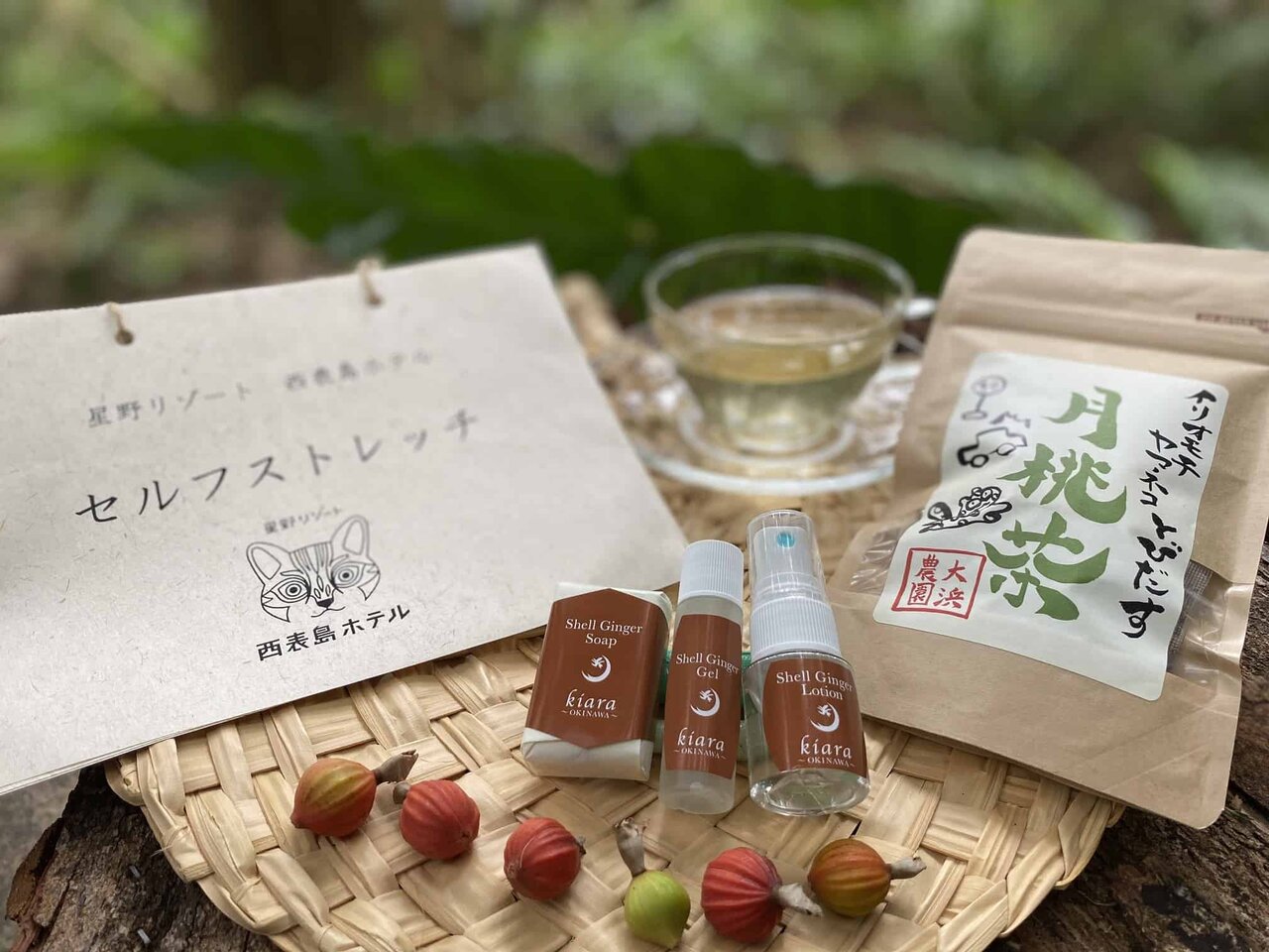 星野リゾート 西表島ホテルで、ストレスを完全解放させる2泊3日のプログラム｜TRAVEL