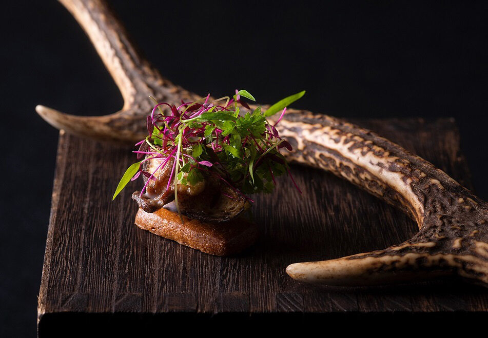 養殖業者と料理人のネットワーク”スターシェフ・ネットワーク”へ「アルジェント」料理長の鈴木健太郎氏が参加|HIRAMATSU