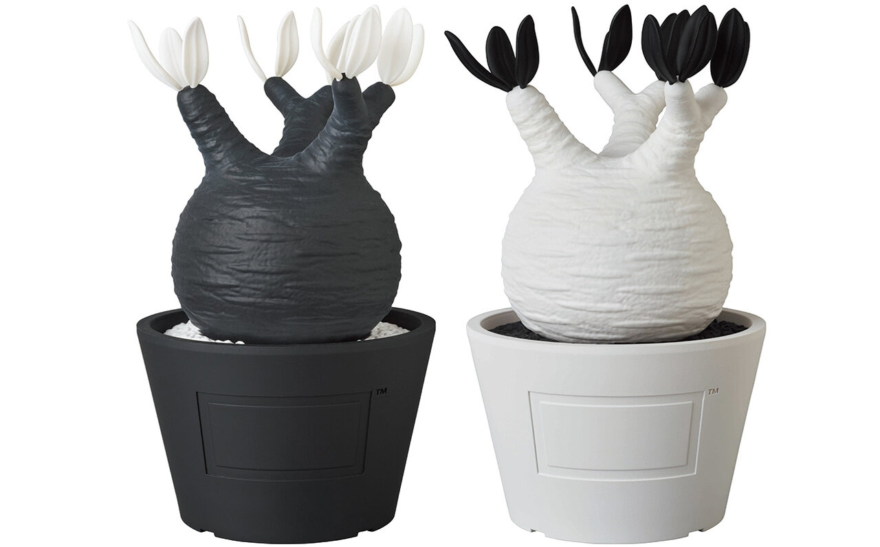 僕が塊根植物をフィギュアにした理由。BOTANIZE代表 横町健さんインタビュー|MEDICOM TOY