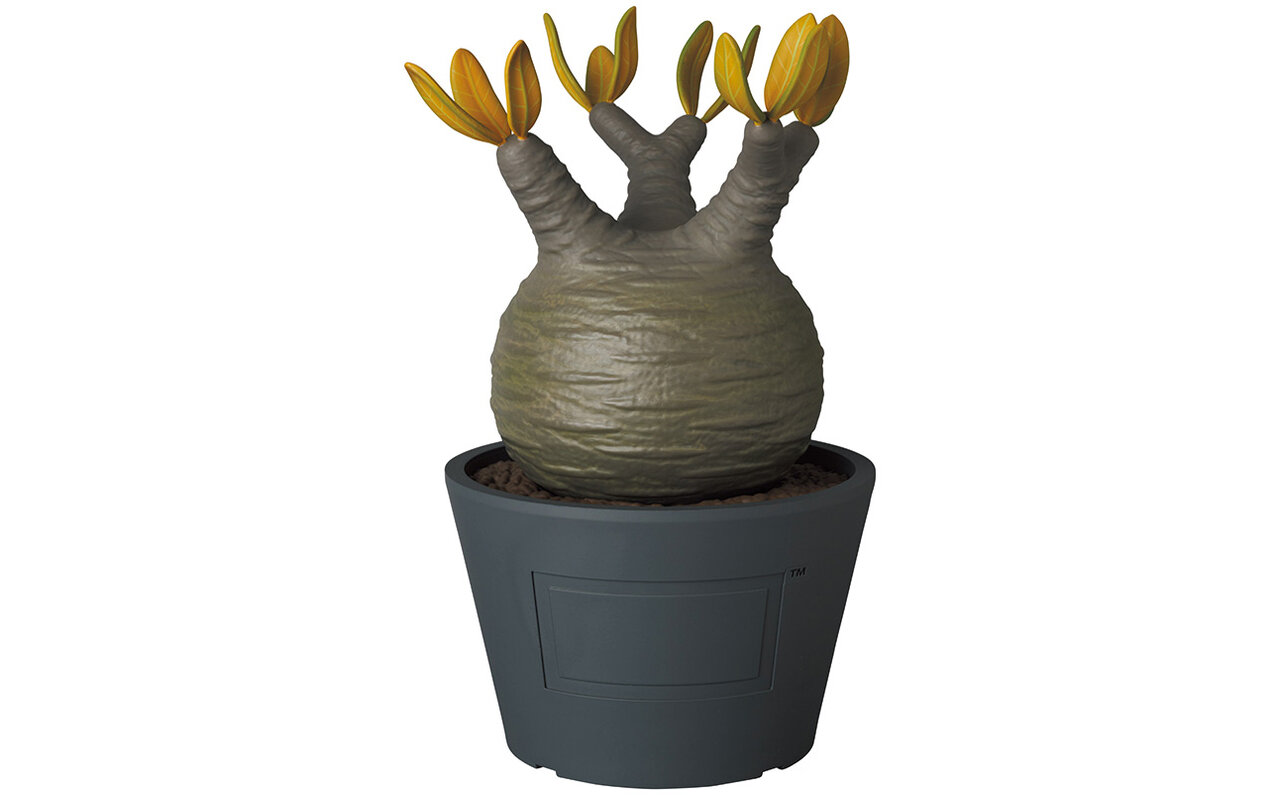 僕が塊根植物をフィギュアにした理由。BOTANIZE代表 横町健さんインタビュー|MEDICOM TOY