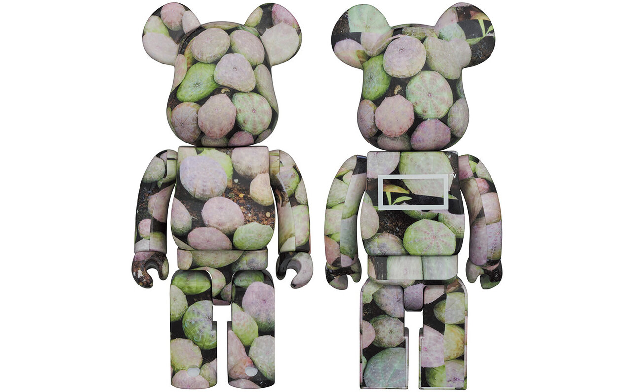 僕が塊根植物をフィギュアにした理由。BOTANIZE代表 横町健さんインタビュー|MEDICOM TOY