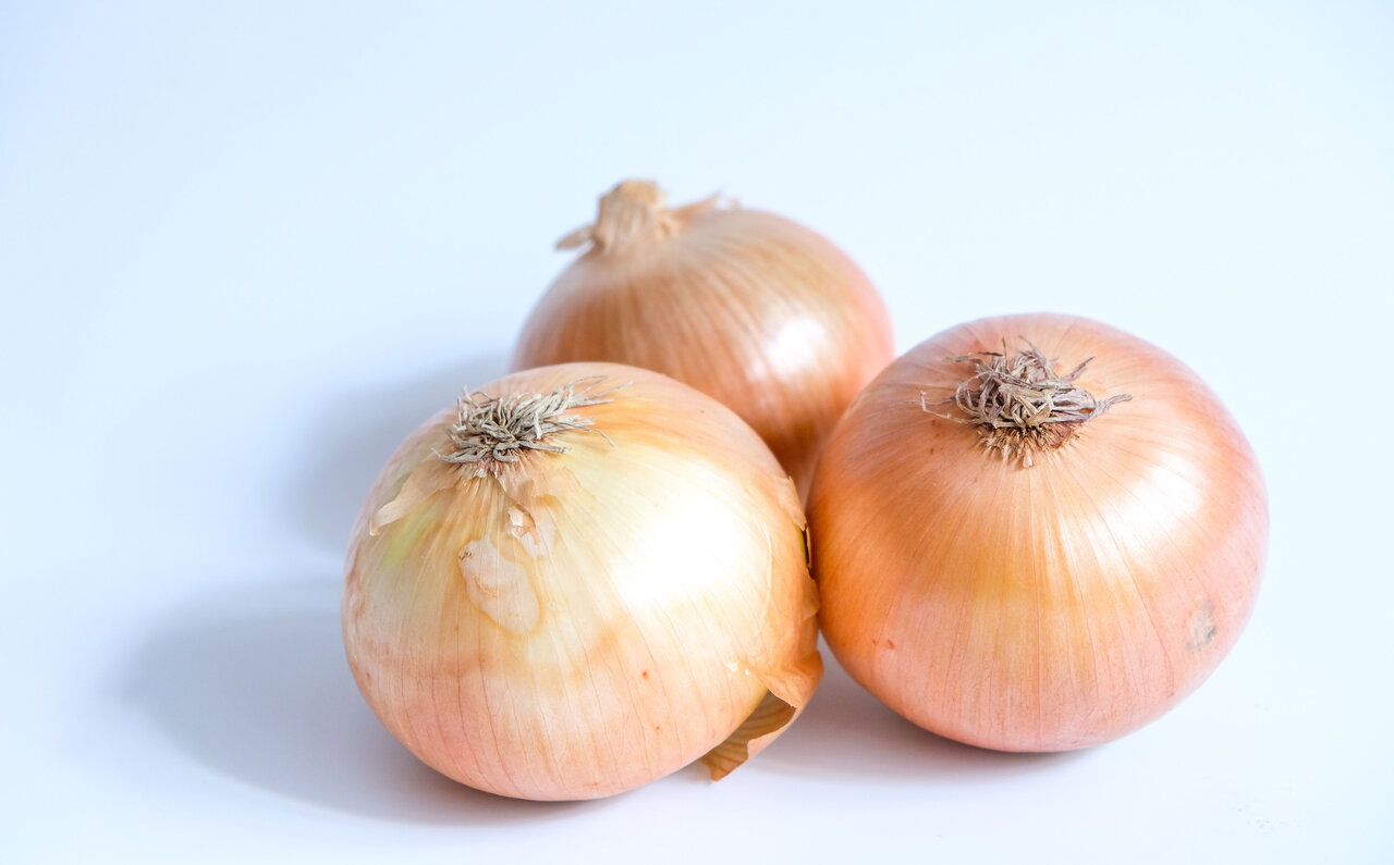 旬をまるごと味わう。ポール・ボキューズの野菜スープ|HIRAMATSU