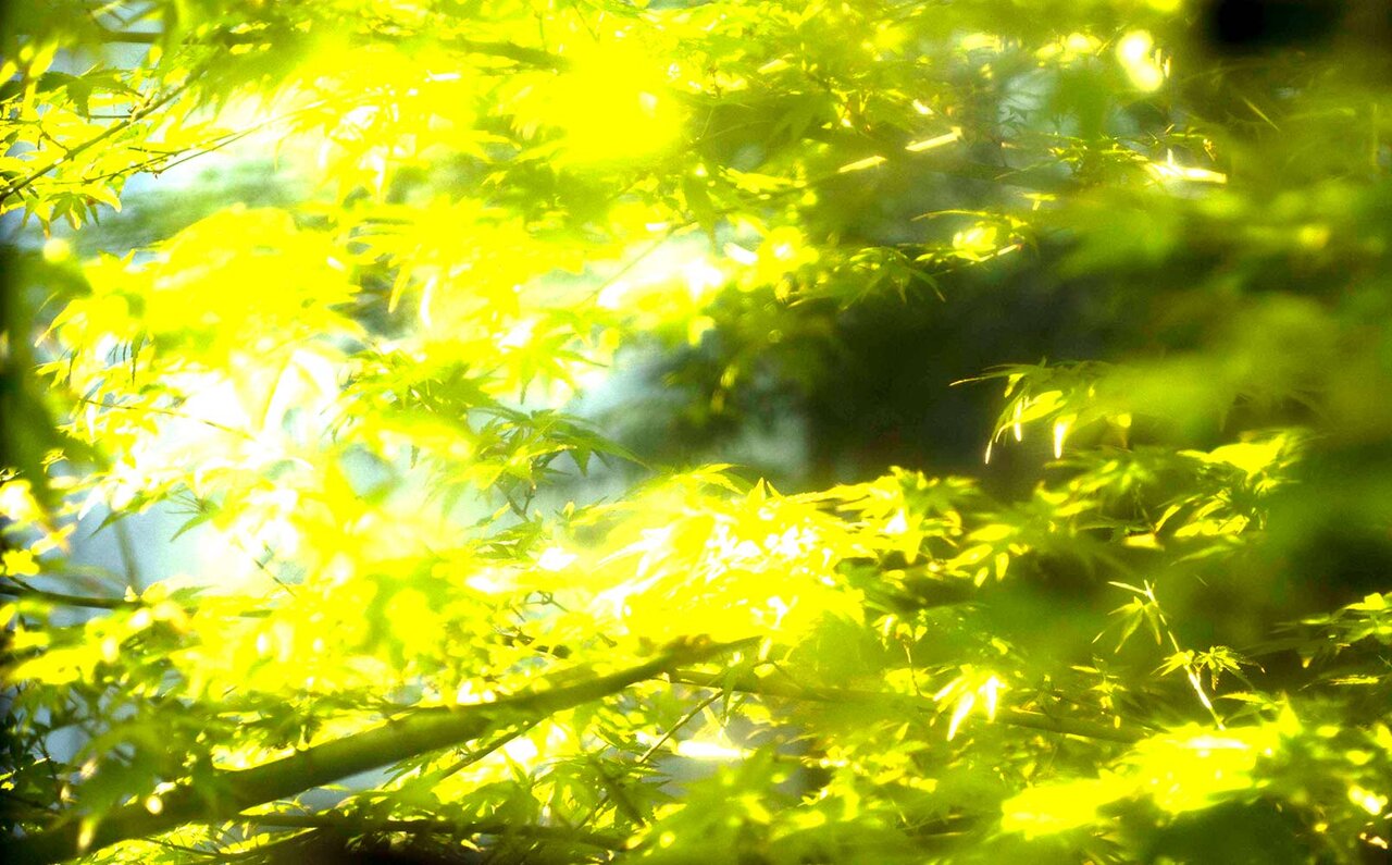 Equally beautiful. 第4回目