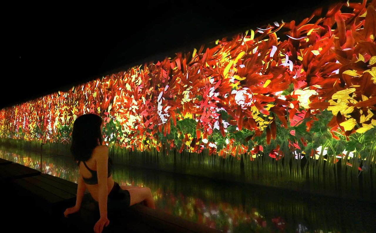 サウナでアートを“浴びる”。チームラボの新しい展覧会｜ART