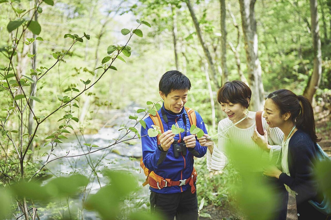 夏の奥入瀬渓流を堪能する「夏の深緑おいらせ旅」プラン登場｜TRAVEL