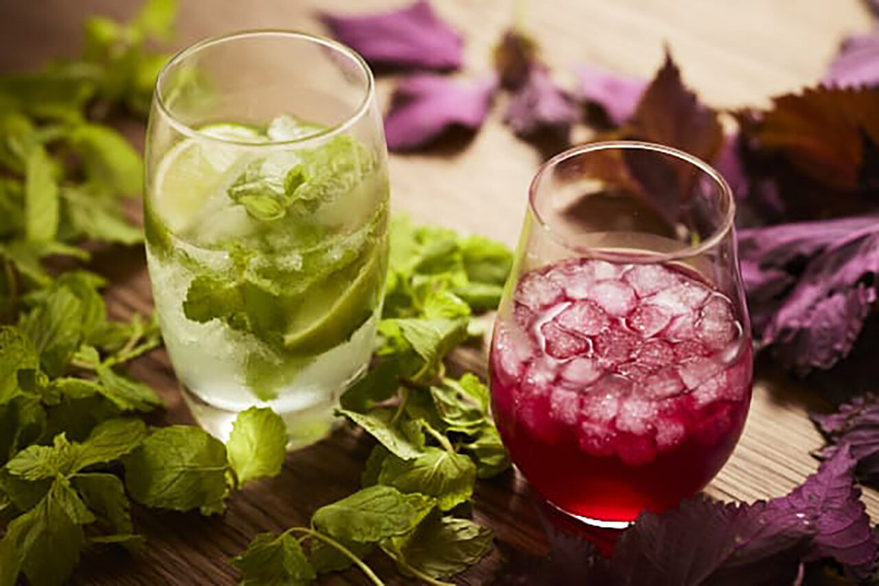 開放的な特別席で夕涼みを楽しむ「アグリビアガーデン」｜TRAVEL