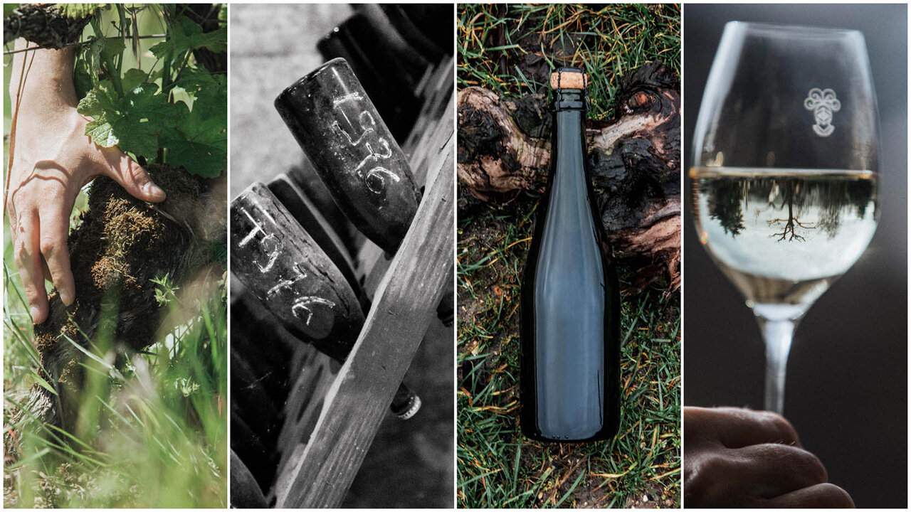 サステナブルなシャンパーニュにこだわる新生テルモン誕生|TELMONT