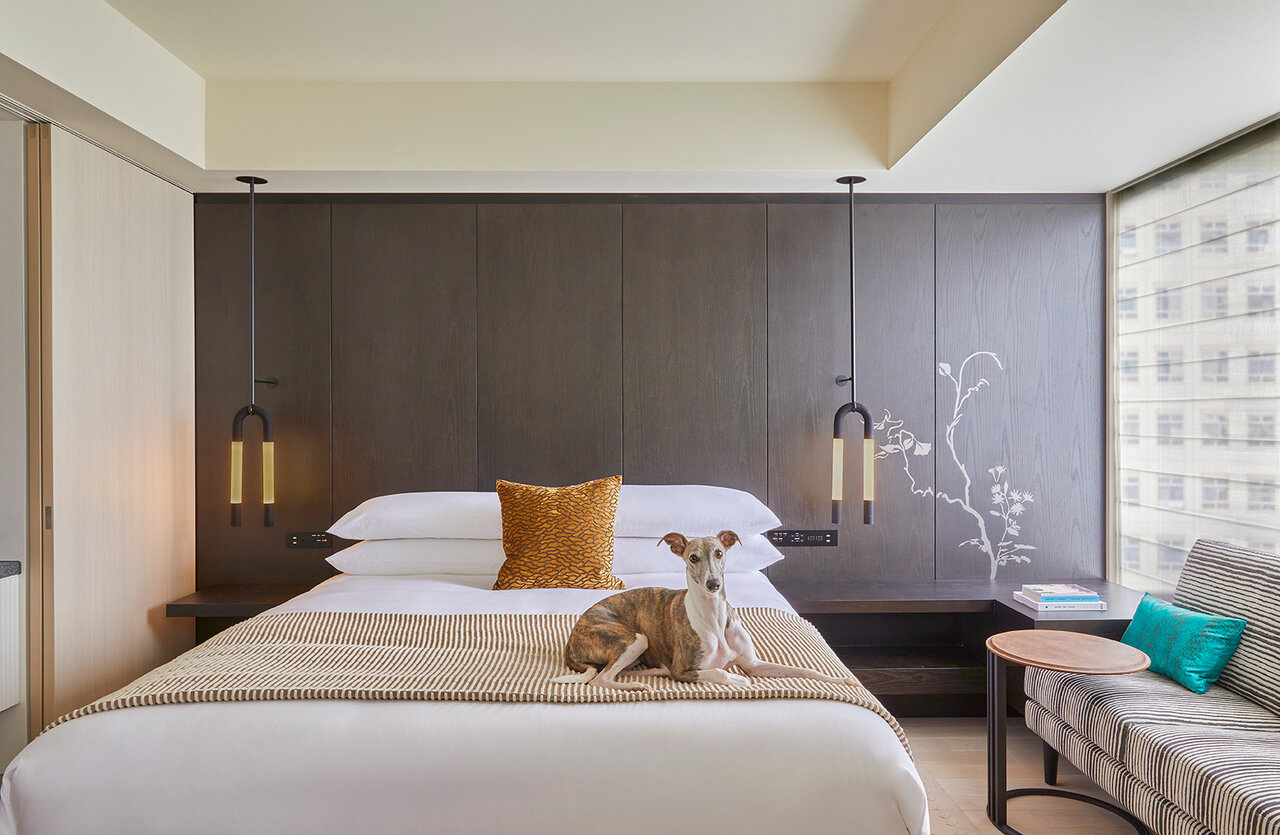 いつも癒しをくれる愛犬にペットケーションをプレゼント! 一緒にブランチも楽しむ宿泊プラン|Kimpton Shinjuku Tokyo