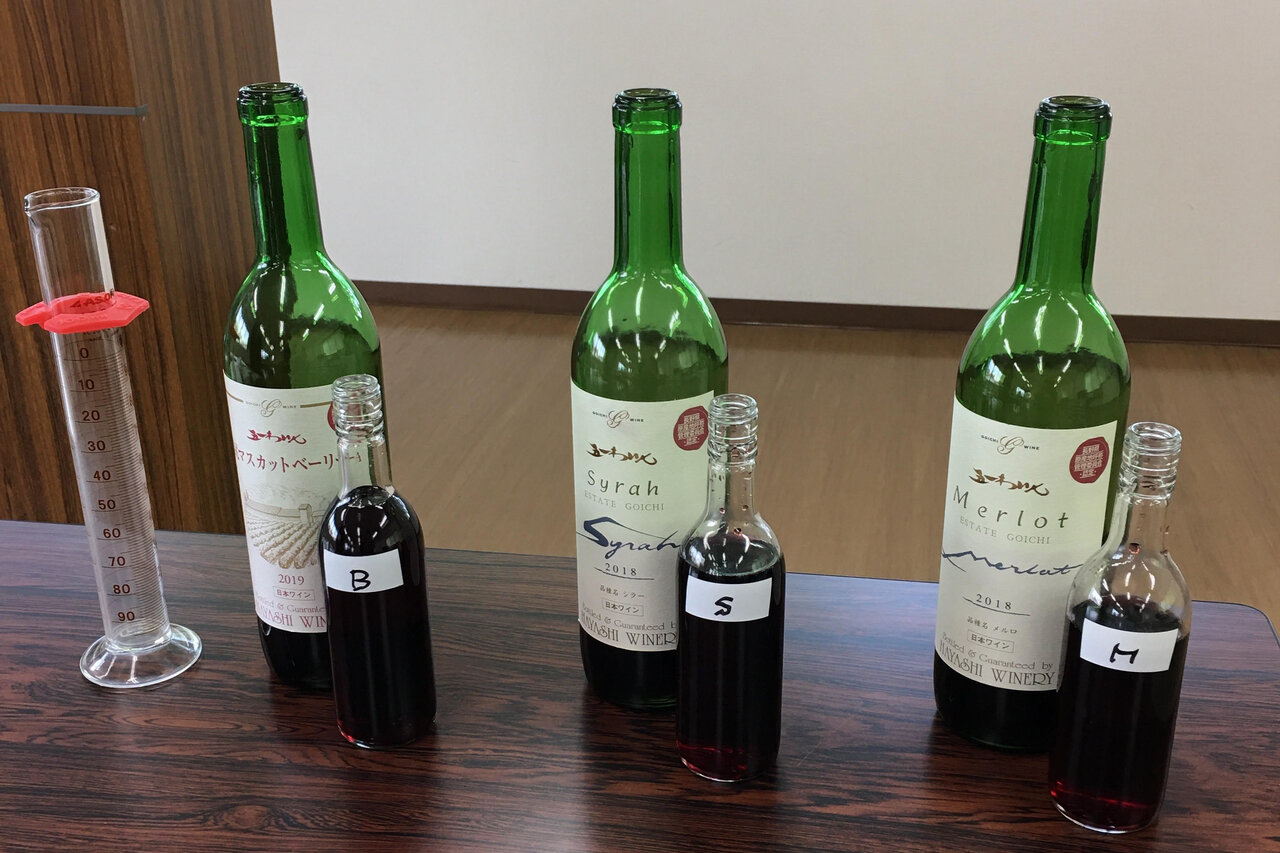 老舗ワイナリーでブドウを収穫し、自分好みのワインを完成させる「手業のひととき」|TRAVEL