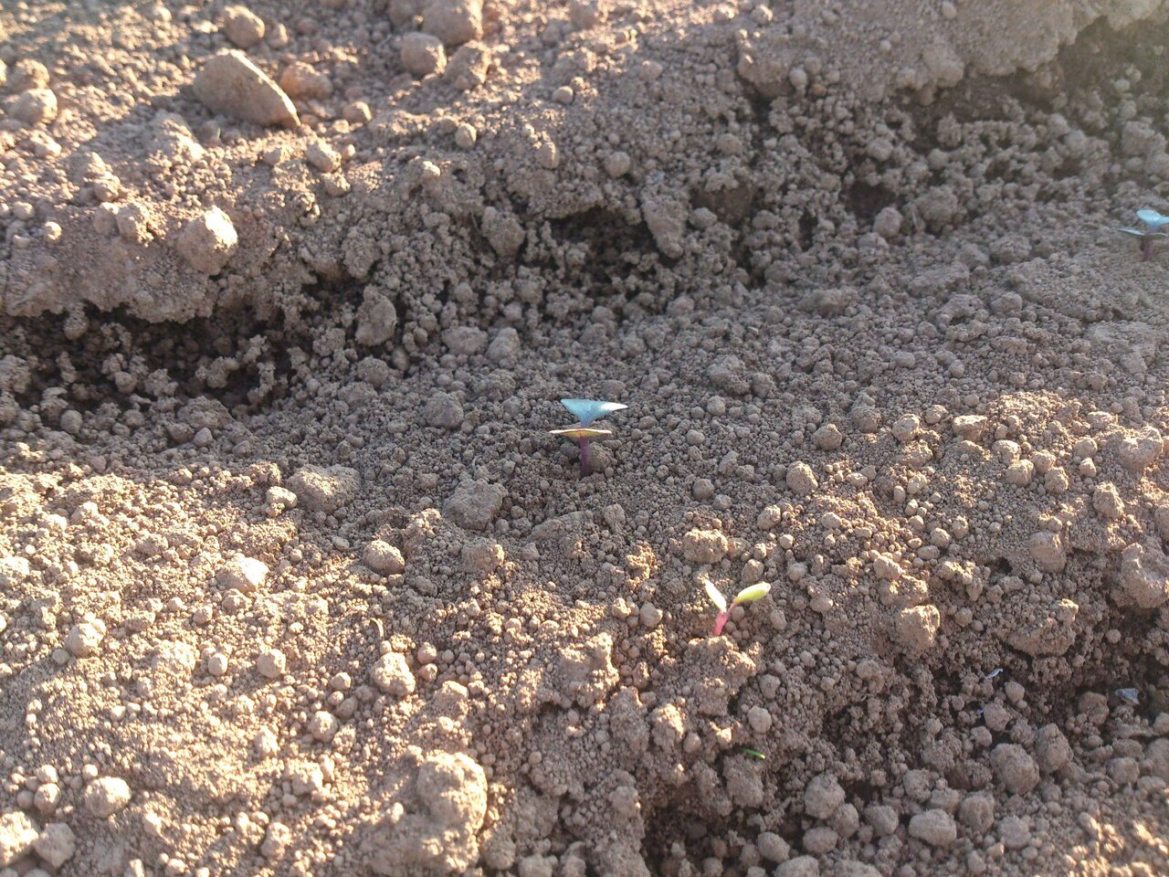 連載エッセイ｜#ijichimanのぼやき「サステナブルの話」