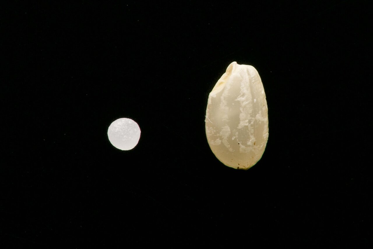 いまの日本酒の頂点の一角。新たな境地を切り開いた「楯野川 純米大吟醸 光明」|EAT