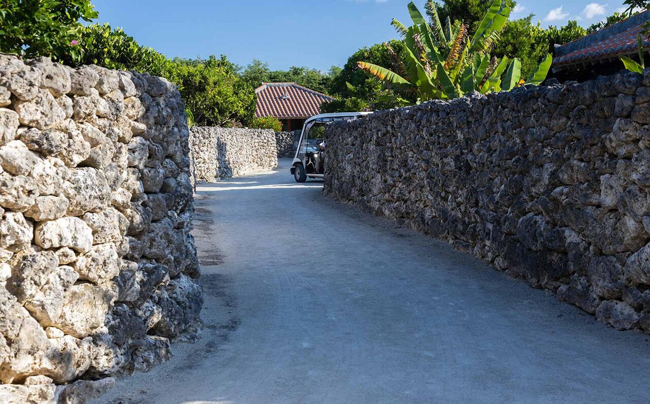  竹富島の歴史文化を学び、味わう、大人のためのプレミアムな“食育”にご案内！｜TRAVEL