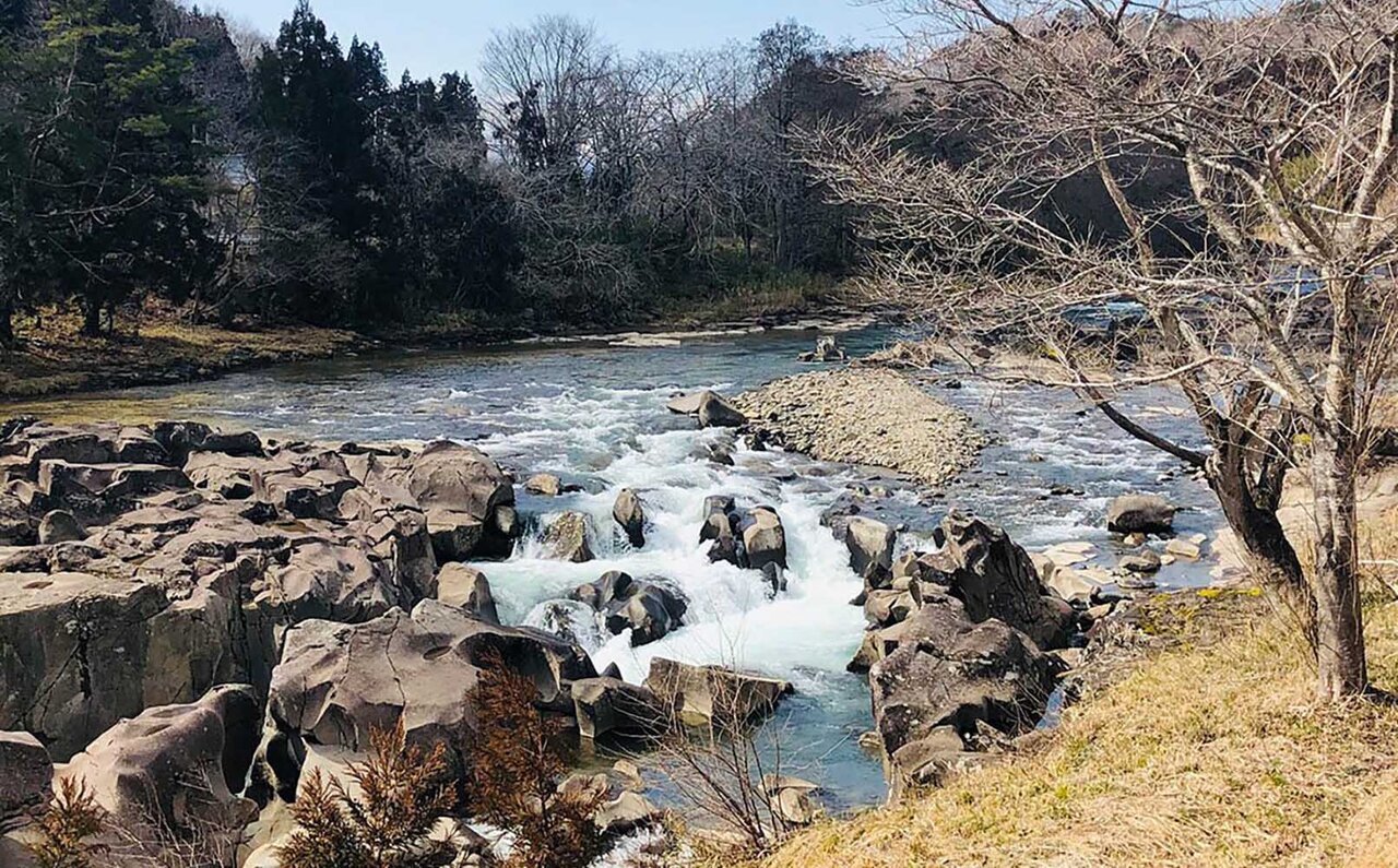 原料の原料まで遡及し、工場の背景にまで目を向ける 徹底して肌と地球の環境にこだわる「immuno」前編
