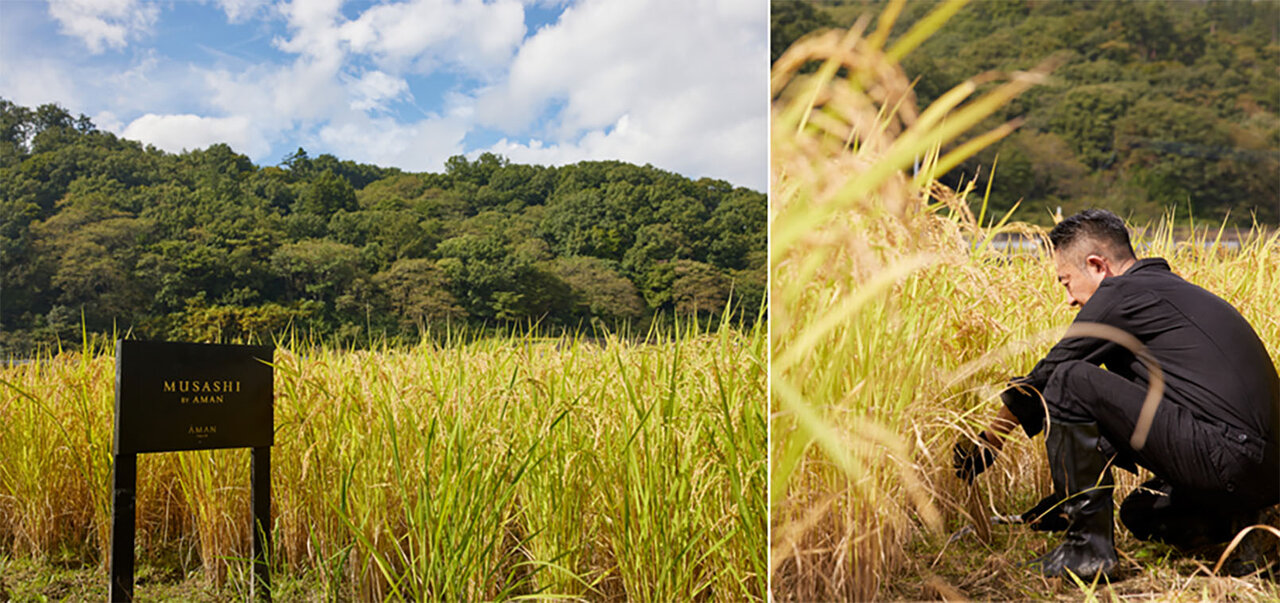 「武蔵 by アマン」の親方自らが育て収穫した米を使用。鮨との相性抜群のオリジナル日本酒｜AMAN