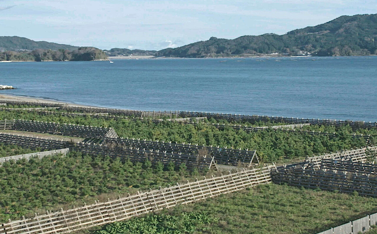 3.11から11年。復興の象徴「一本松」の名を冠したクラフトビールが登場|EAT