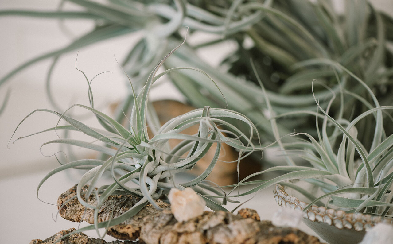 陶芸家・岡崎裕子と葉山の作家が集う個展『依代 -yorishiro-』開催｜ART