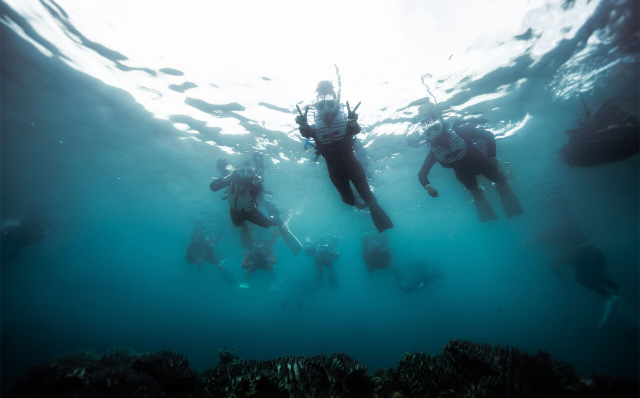サンゴの村で地球の未来を考える、サンゴの植え付け体験｜サスティナブルオキナワ