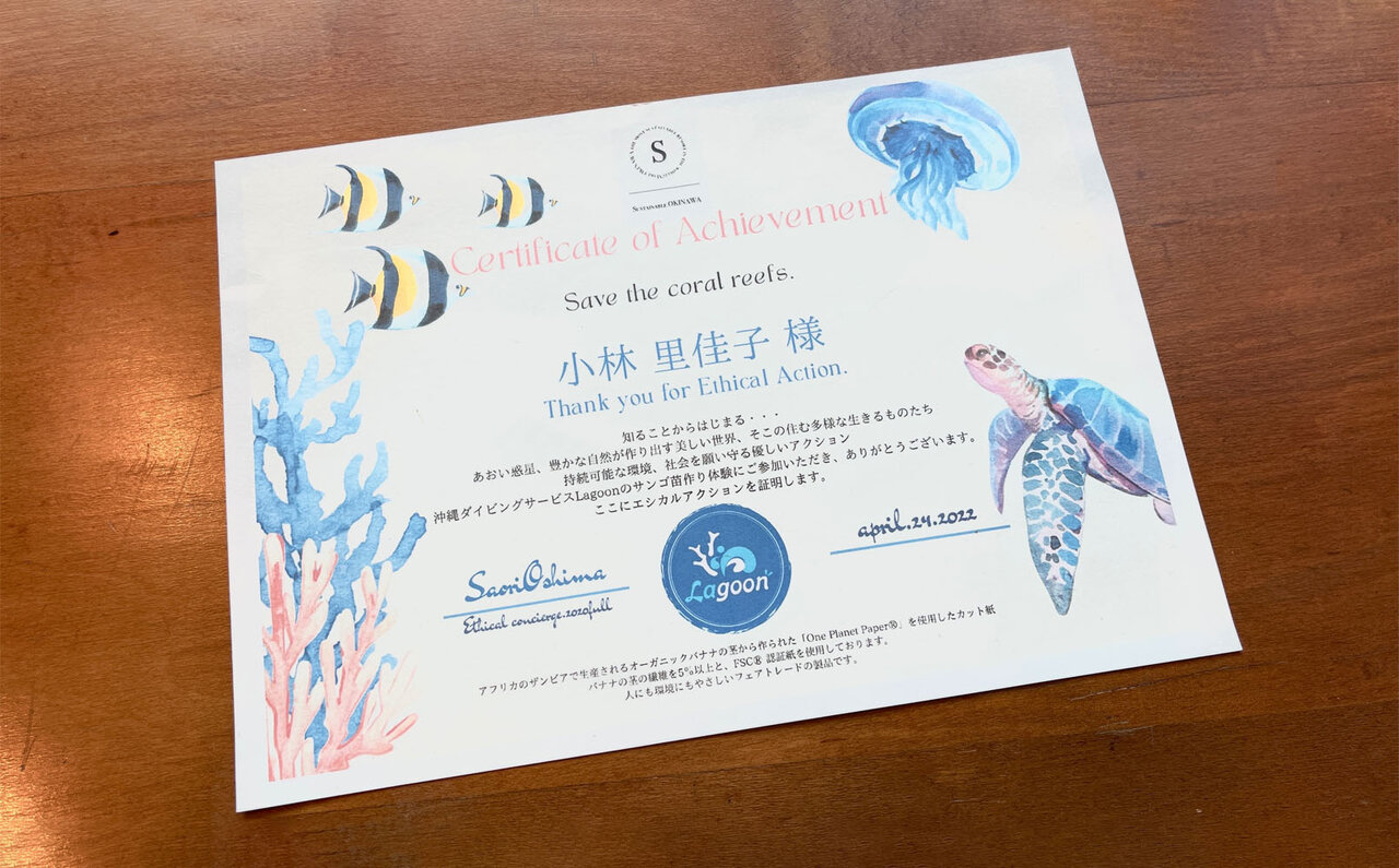 サンゴの村で地球の未来を考える、サンゴの植え付け体験｜サスティナブルオキナワ