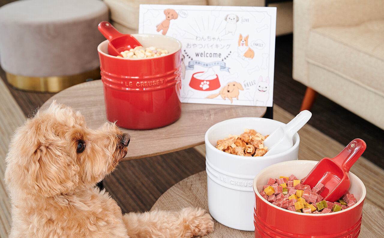 愛犬と一緒にホテルステイを楽しむ。記念撮影やトリートサービスが新登場｜INTERCONTINENTAL TOKYO BAY