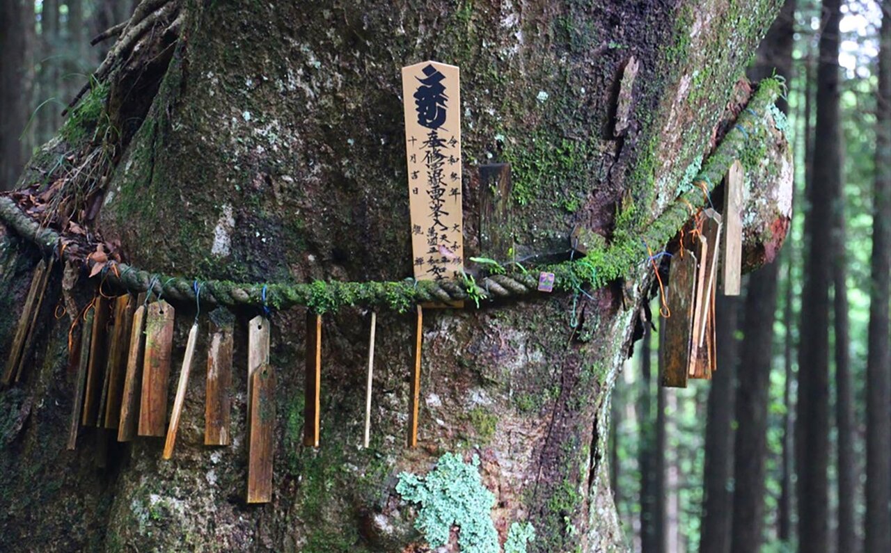 かつて修験者たちが歩んだ登山道「村山道」、富士山信仰の歴史