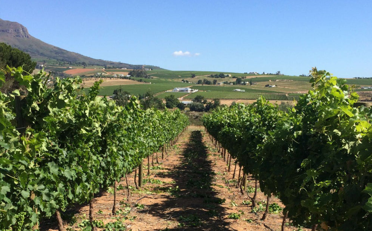 水深15m。南伊豆の美しい海の底でゆっくりと熟成された特別なワイン｜SUBRINA