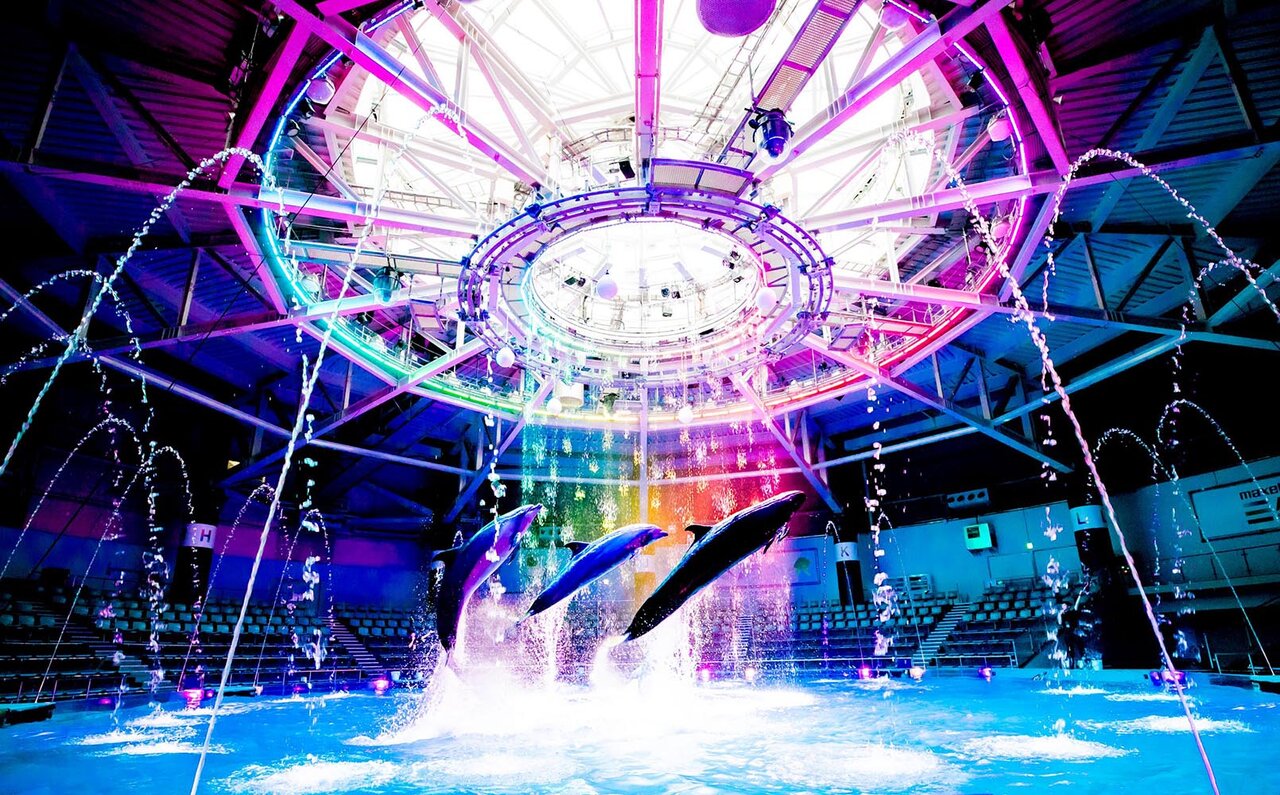 昼と夜、異なるシチュエーションで楽しめる屋外プールがオープン！ナイトプール限定メニューやドリンクも｜SHINAGAWA PRINCE HOTEL