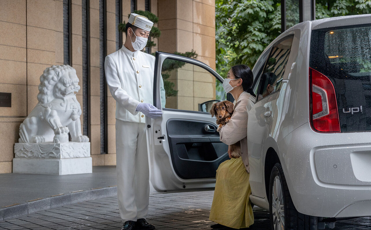 ［犬と泊まれる宿］“館内抱きかかえで皇居お散歩”が叶う！　ザ・ペニンシュラ東京「ドッグステイプログラム」全容を大公開｜TRAVEL