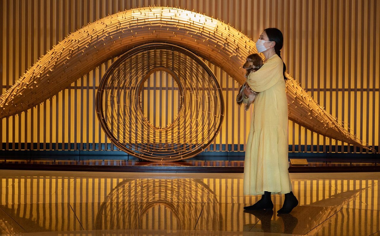 ［犬と泊まれる宿］“館内抱きかかえで皇居お散歩”が叶う！　ザ・ペニンシュラ東京「ドッグステイプログラム」全容を大公開｜TRAVEL