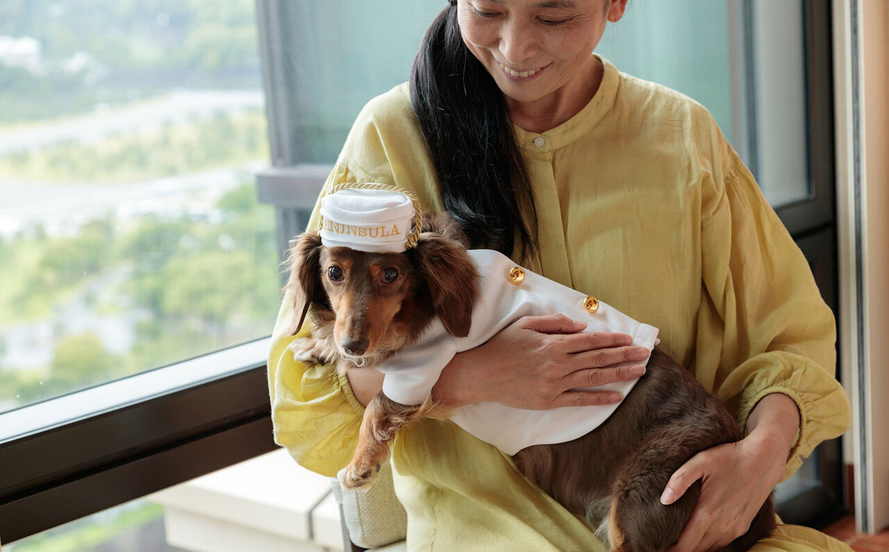 ［犬と泊まれる宿］“館内抱きかかえで皇居お散歩”が叶う！　ザ・ペニンシュラ東京「ドッグステイプログラム」全容を大公開｜TRAVEL