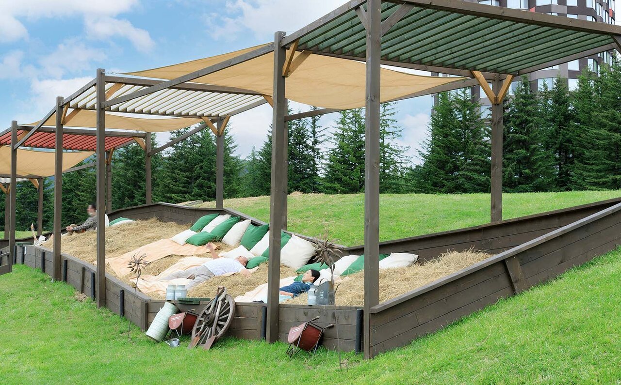 北海道感ほとばしる、 雲海、ファームエリア、ナチュールワイン。夏トマムを満喫するTO DOリスト|TRAVEL