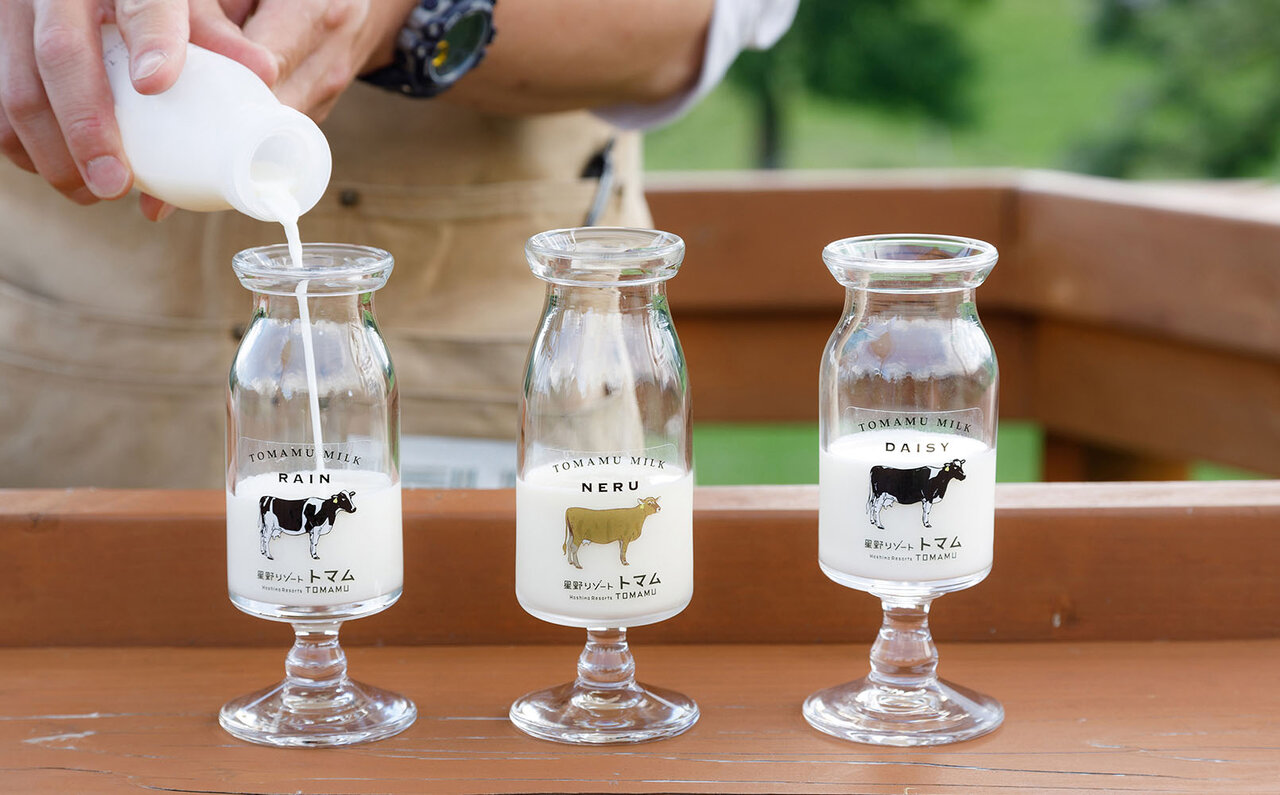 北海道感ほとばしる、 雲海、ファームエリア、ナチュールワイン。夏トマムを満喫するTO DOリスト|TRAVEL