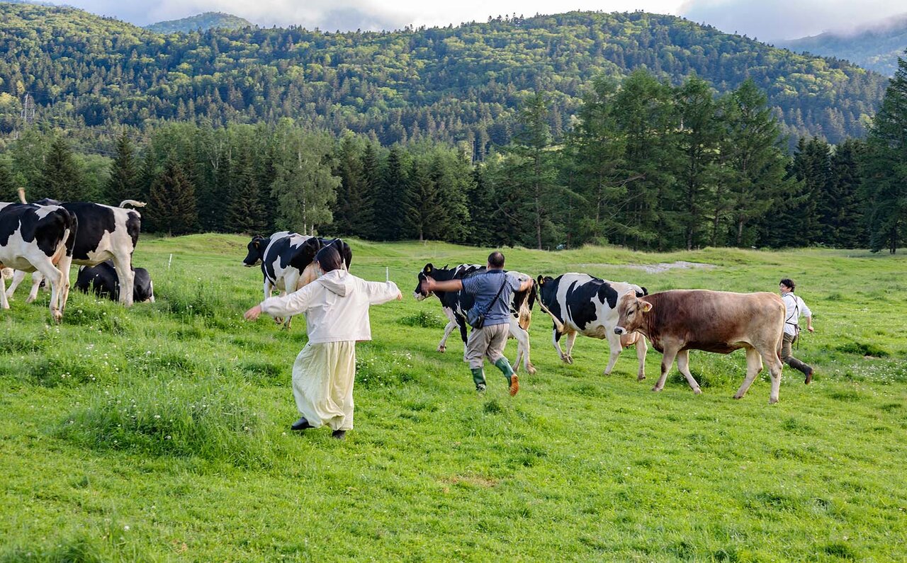北海道感ほとばしる、 雲海、ファームエリア、ナチュールワイン。夏トマムを満喫するTO DOリスト|TRAVEL