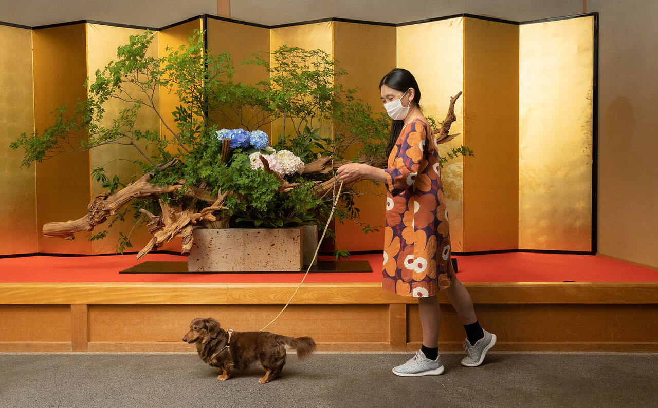 ［犬と泊まれる宿］with わんこドライブで日光へ。ドア to ドアで気兼ねなく、町全体がわんこ歓迎でフレンドリー！｜TRAVEL