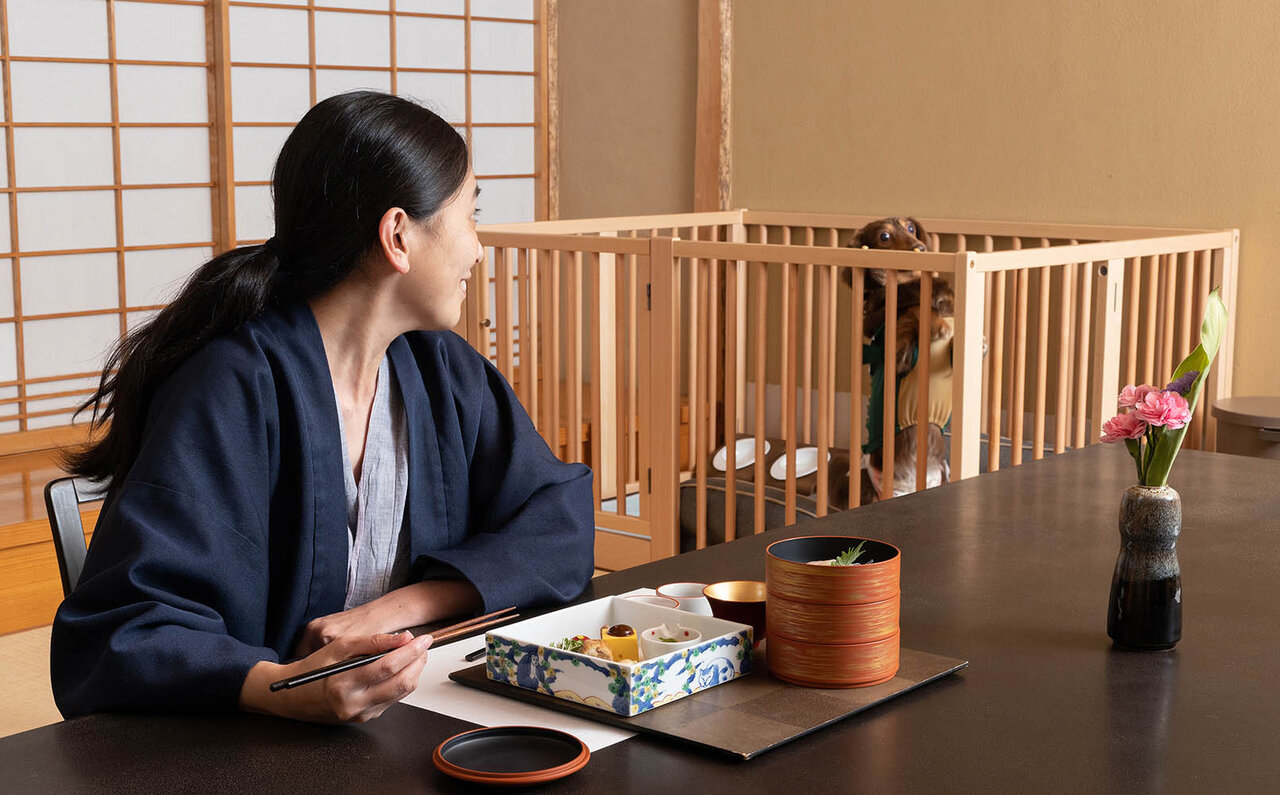 ［犬と泊まれる宿］with わんこドライブで日光へ。ドア to ドアで気兼ねなく、町全体がわんこ歓迎でフレンドリー！｜TRAVEL