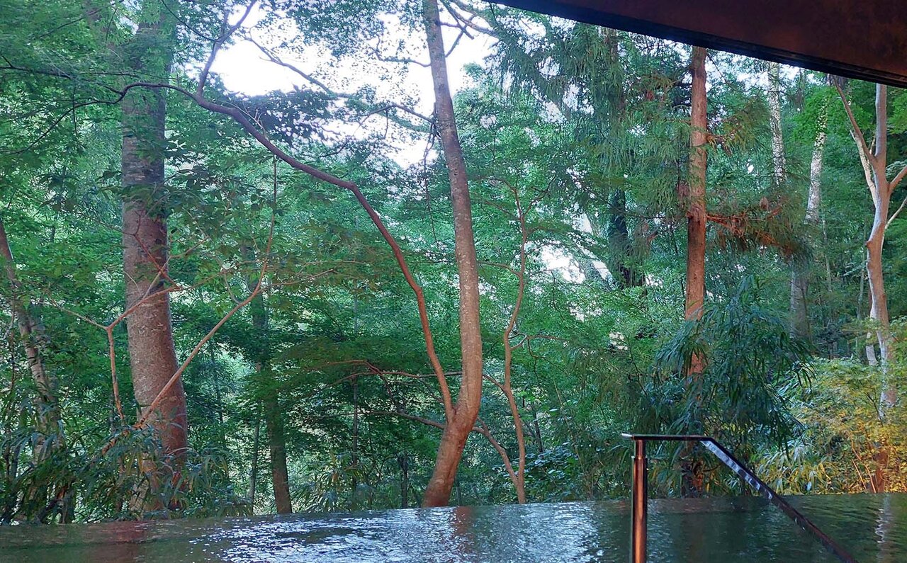 リニューアルした箱根湯本「はつはな」で過ごすひとときで身も心も整える|TRAVEL