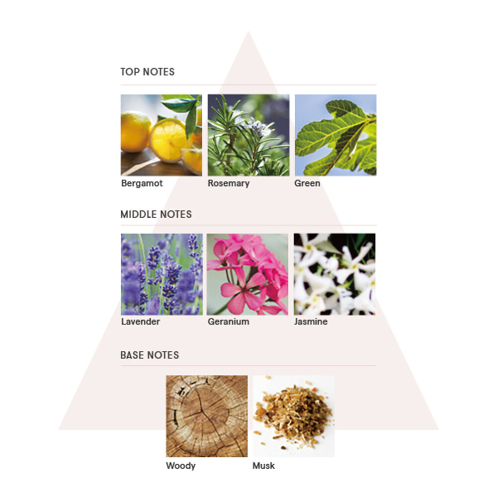 【10/5発売】美しい素肌になりすます、新ベースメイクアップ|SINN PURETE