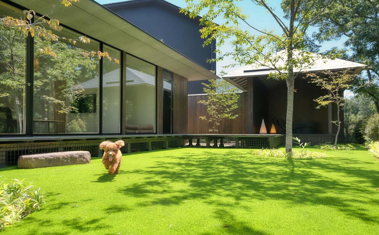 with わんこ旅を支える、スターフライヤーと星野リゾートのコラボレーション｜TRAVEL