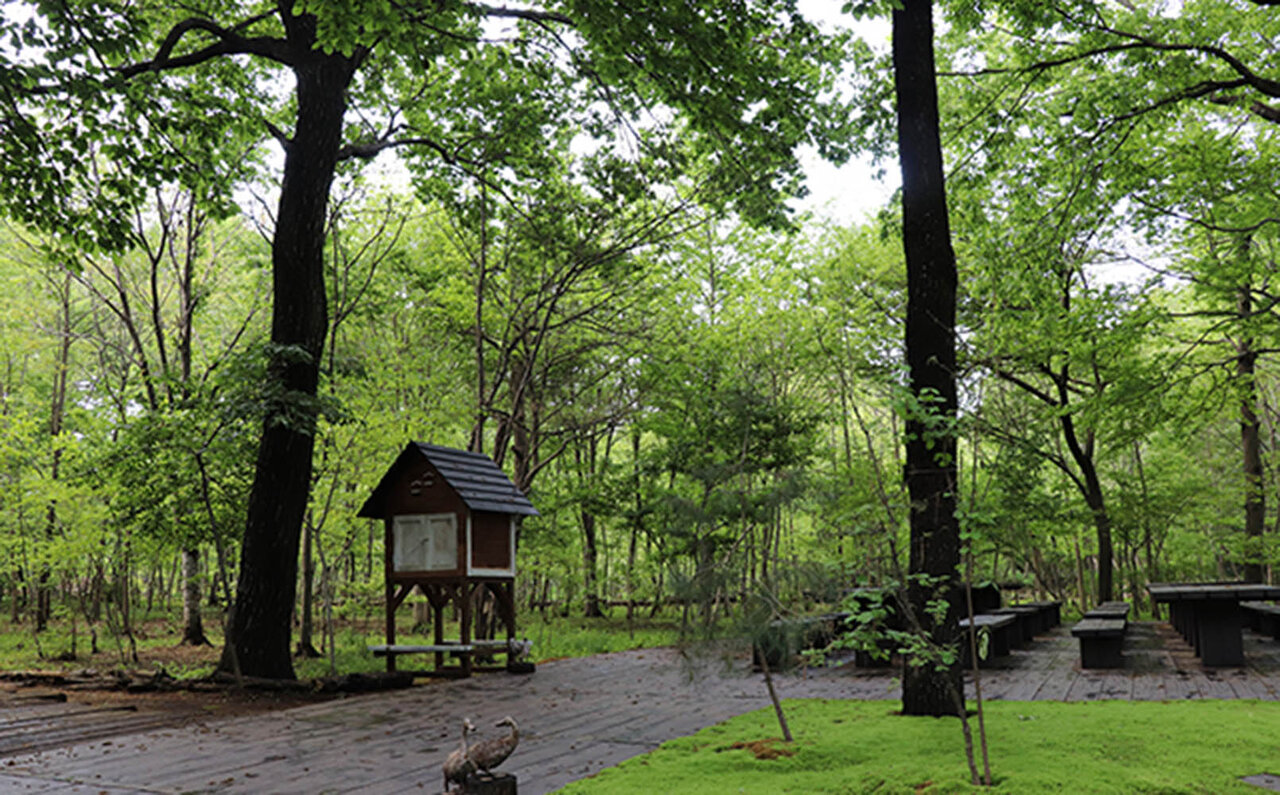 五感で学ぶ、地域に根ざしたボトムアップな循環型経済特別ツアー「crQlr Summit 2023 JAPAN」開催|LOUNGE