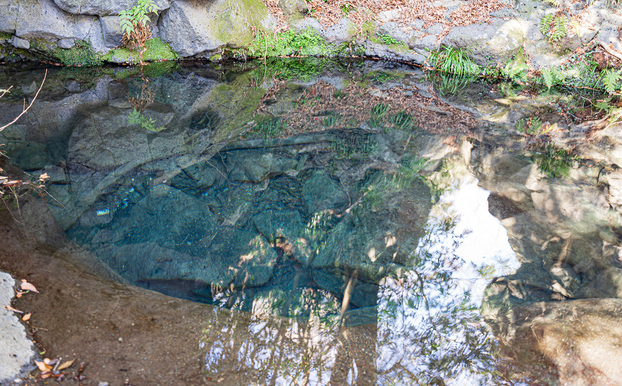 究極の聖地巡礼。時代を超え、肌で感じる歴史と自然。|TRAVEL