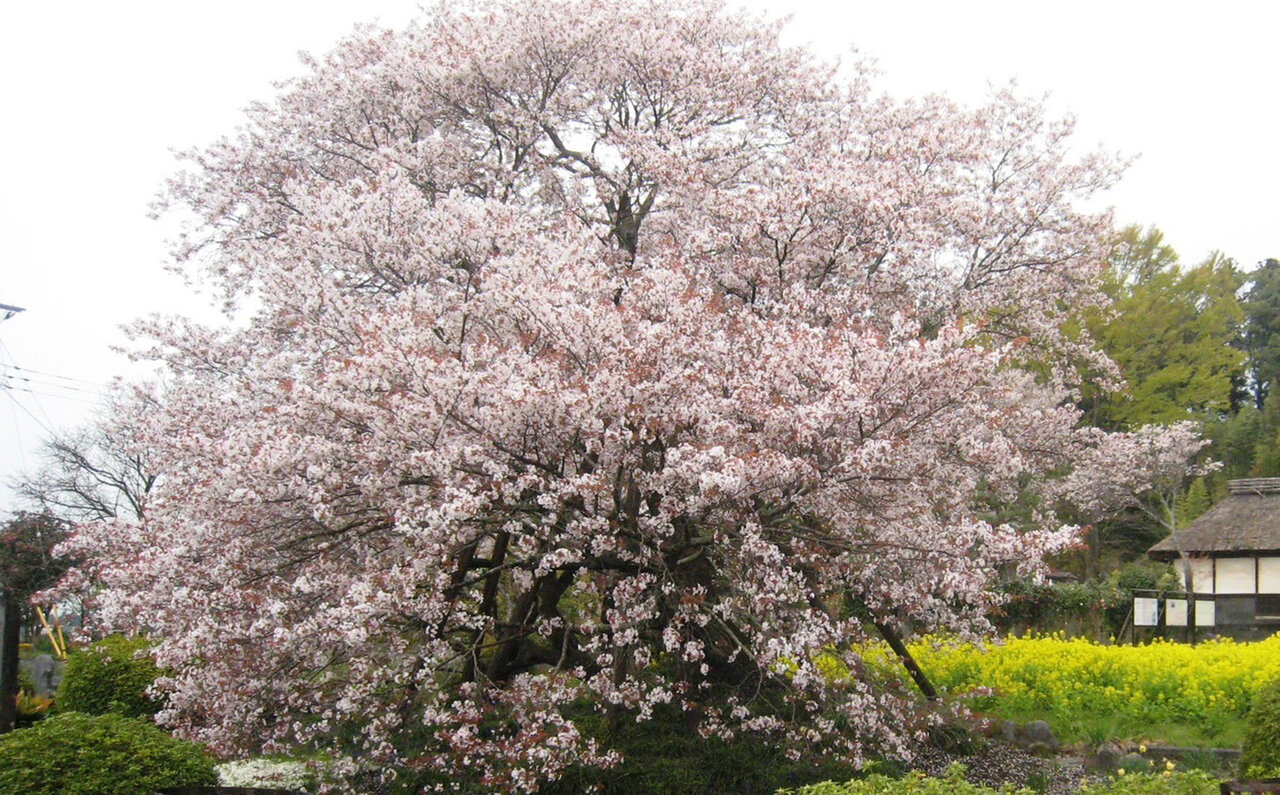 究極の聖地巡礼。時代を超え、肌で感じる歴史と自然。|TRAVEL