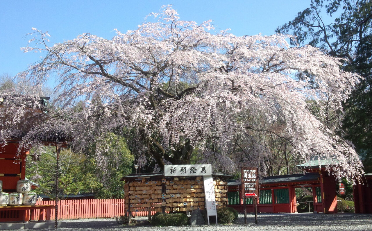 究極の聖地巡礼。時代を超え、肌で感じる歴史と自然。|TRAVEL