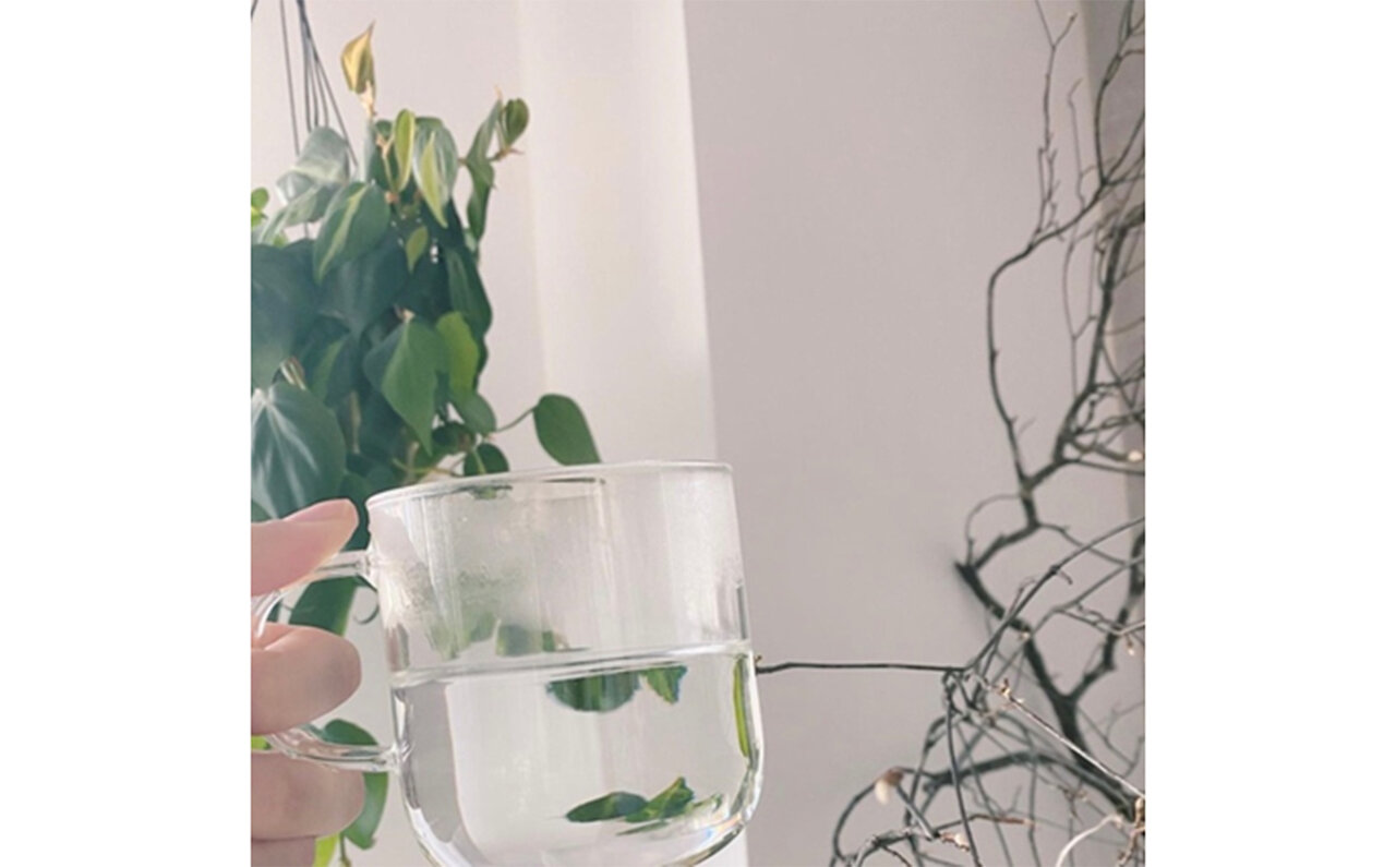 今回は白湯の魅力についてお話ししたいと思います|BEAUTY