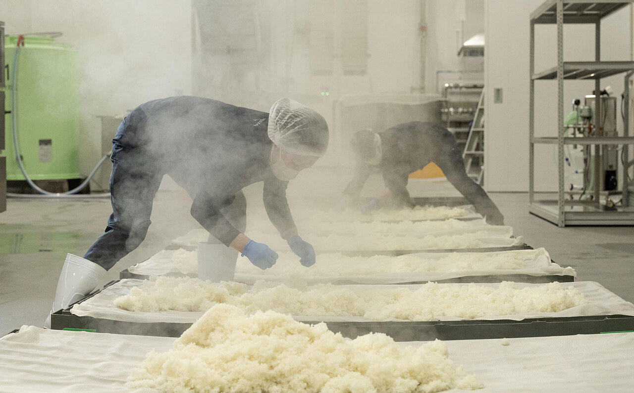 これが生酒! これがフレッシュ!! 鮮度命の繊細さが澄み渡たる、純米大吟醸の真骨頂|FEATURE