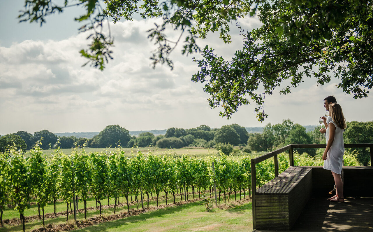 120本限定販売。イギリス最高額のスパークリングワイン「51°N」が日本初上陸｜EAT