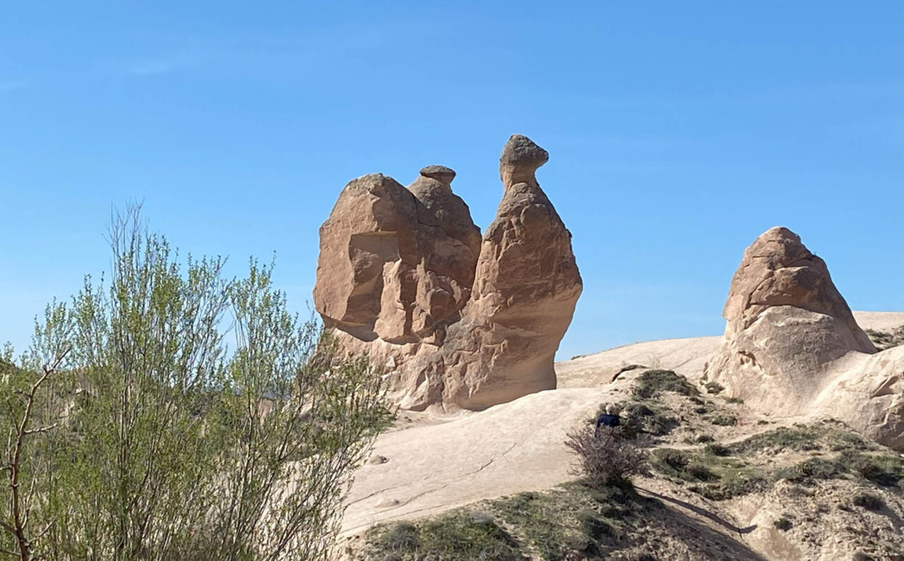 イスタンブールとカッパドキアで、「トルコ料理」が世界三大料理と言われる理由を探ってみた|TRAVEL