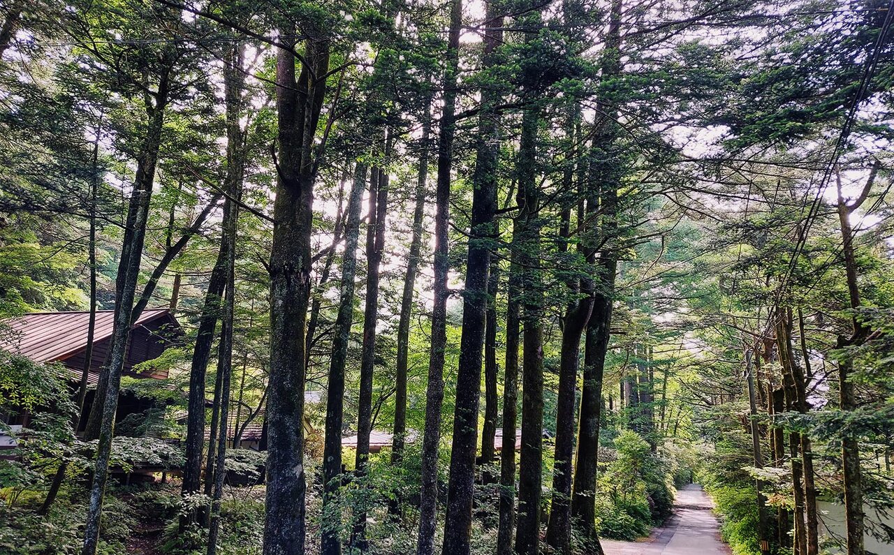 「ししいわハウス軽井沢」で楽しむ建築美と自然の静穏｜TRAVEL