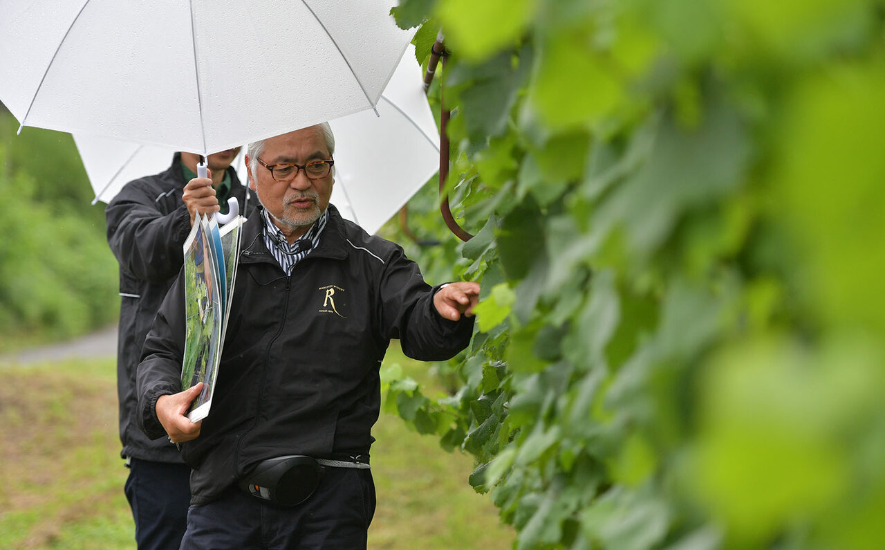 畑を愛でて、ワインを楽しむ。星野リゾートがプロデュースする日本屈指のワインツーリズム|TRAVEL