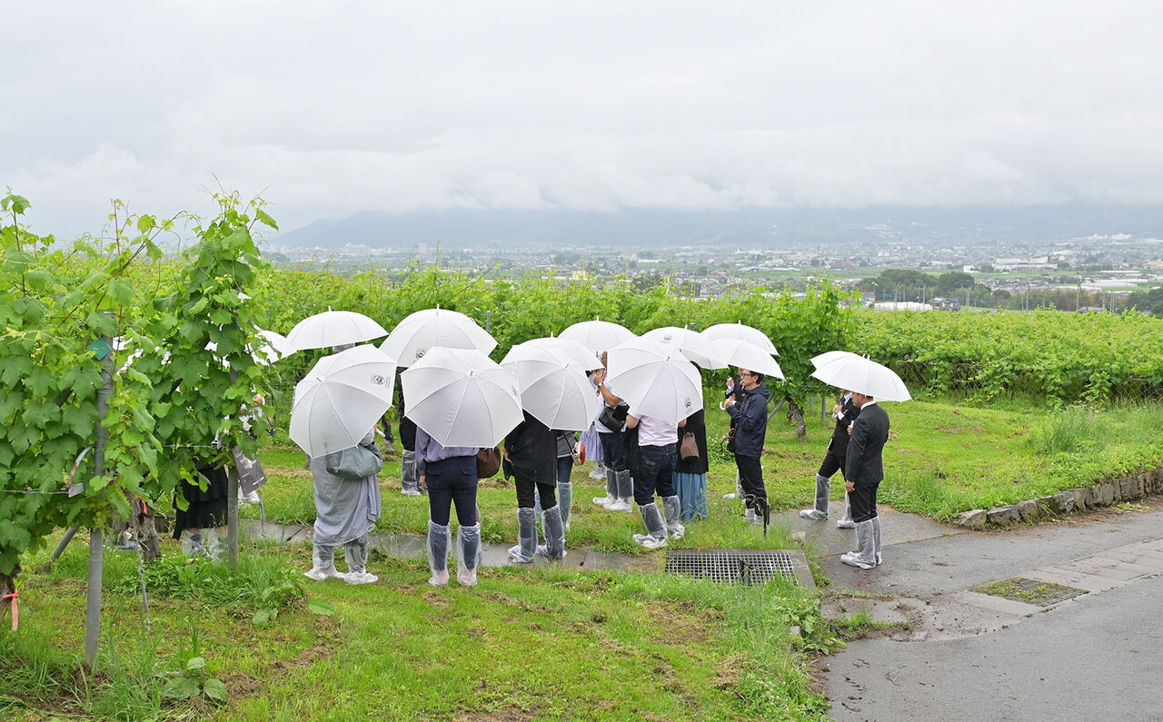 畑を愛でて、ワインを楽しむ。星野リゾートがプロデュースする日本屈指のワインツーリズム|TRAVEL