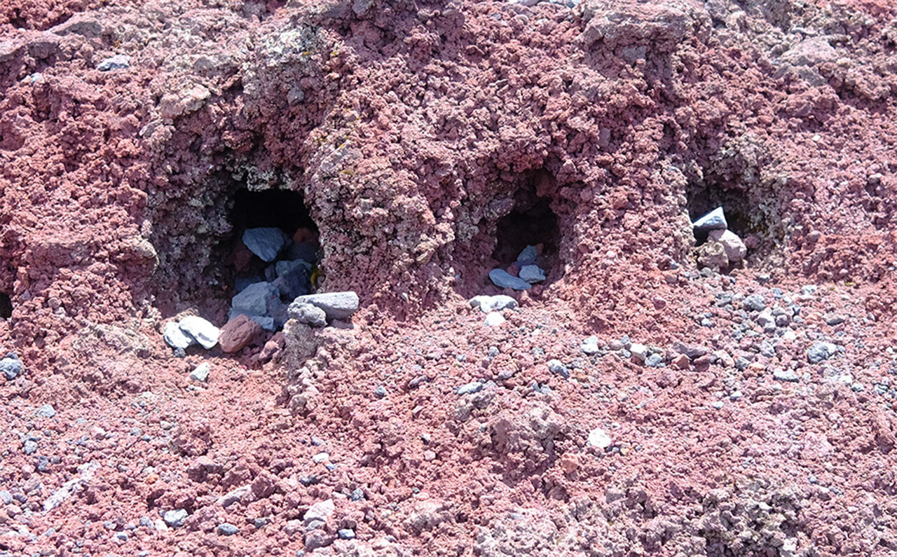 吉田ルートで登る日本の象徴。肌で体感する歴史。｜TRAVEL